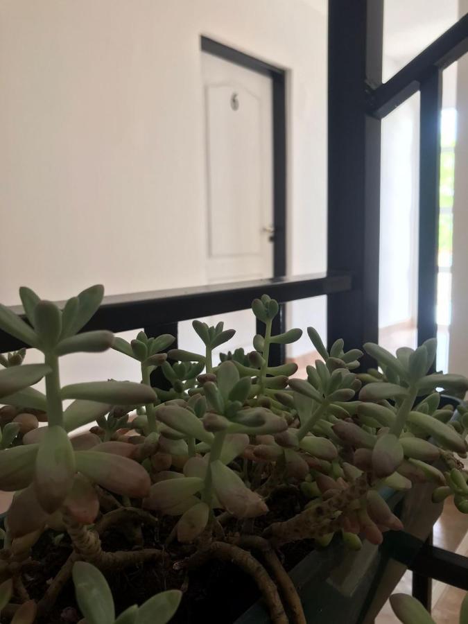 Guest House سالتا المظهر الخارجي الصورة