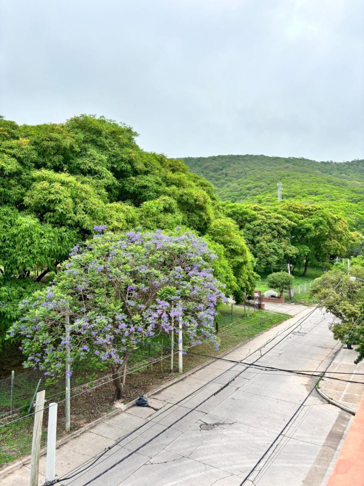 Guest House سالتا المظهر الخارجي الصورة