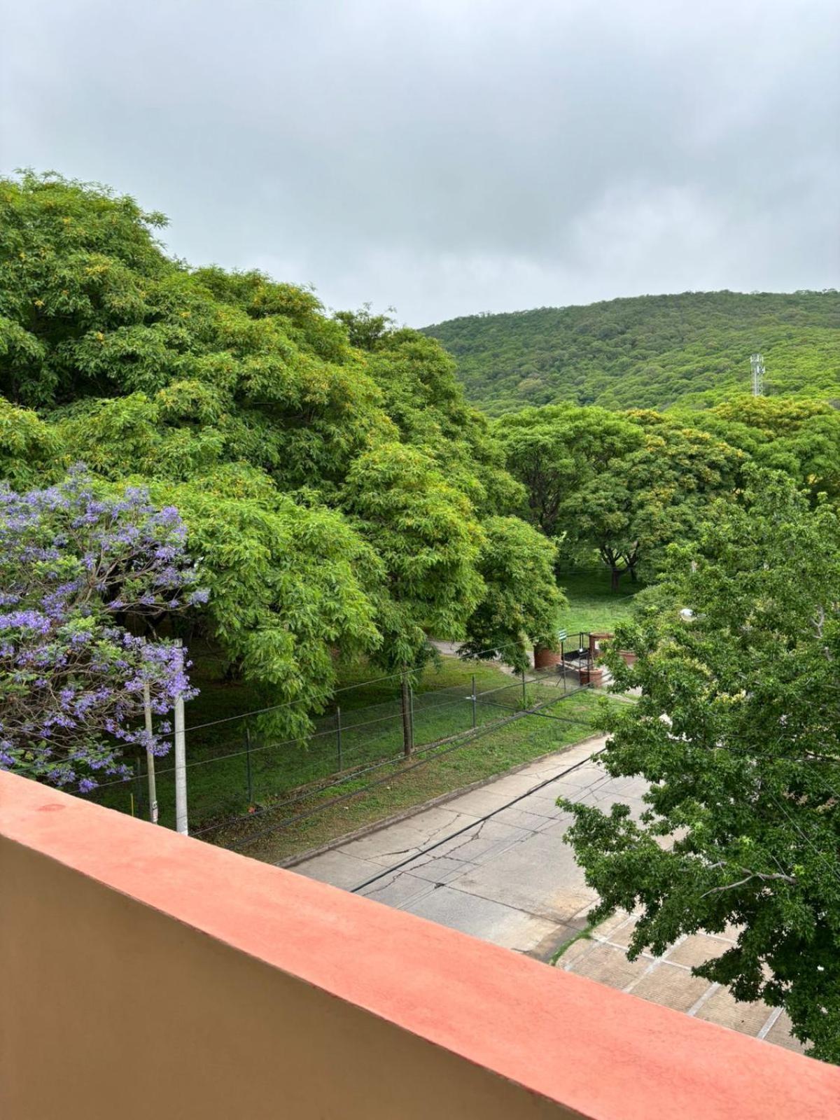 Guest House سالتا المظهر الخارجي الصورة